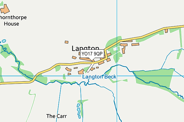 Langton Primary School map (YO17 9QP) - OS VectorMap District (Ordnance Survey)