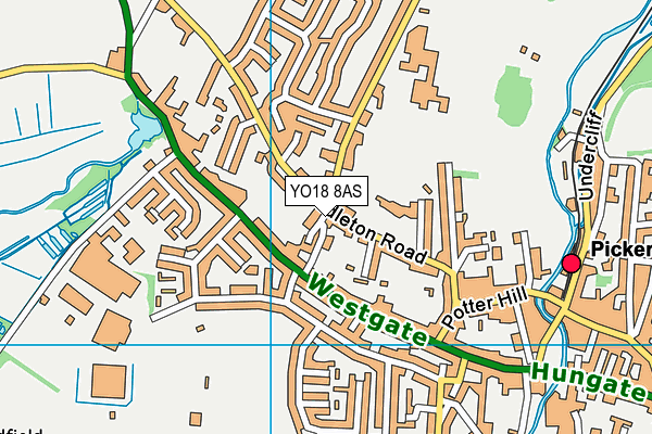YO18 8AS map - OS VectorMap District (Ordnance Survey)