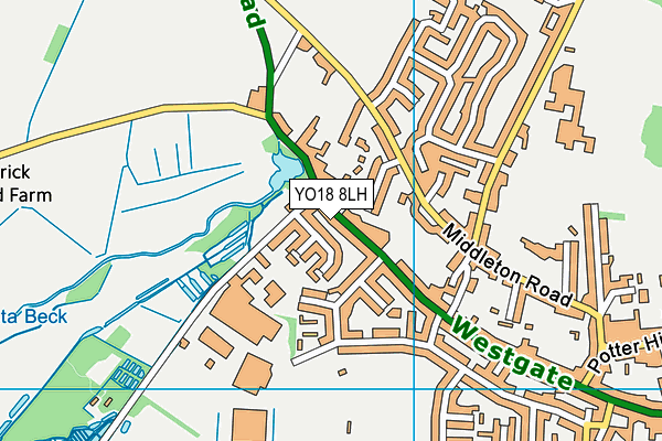 YO18 8LH map - OS VectorMap District (Ordnance Survey)