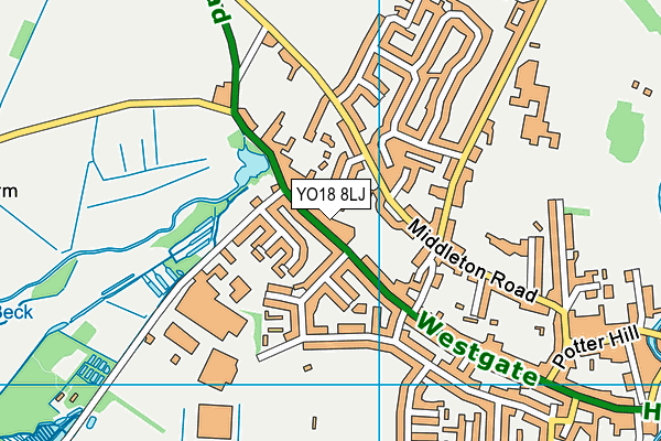 YO18 8LJ map - OS VectorMap District (Ordnance Survey)