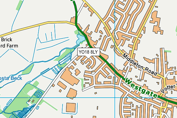 YO18 8LY map - OS VectorMap District (Ordnance Survey)