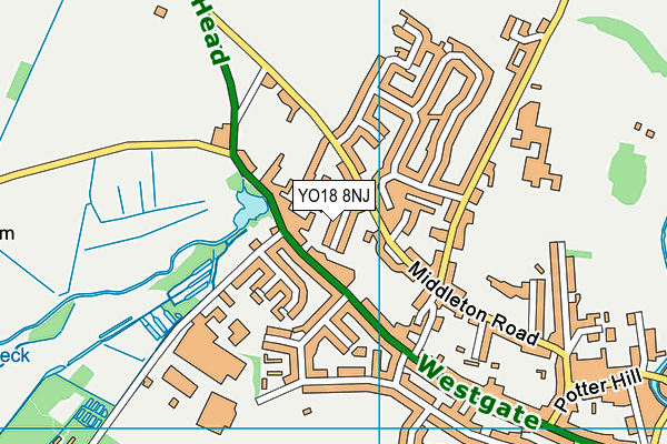 YO18 8NJ map - OS VectorMap District (Ordnance Survey)