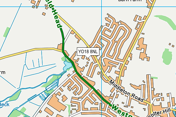 YO18 8NL map - OS VectorMap District (Ordnance Survey)