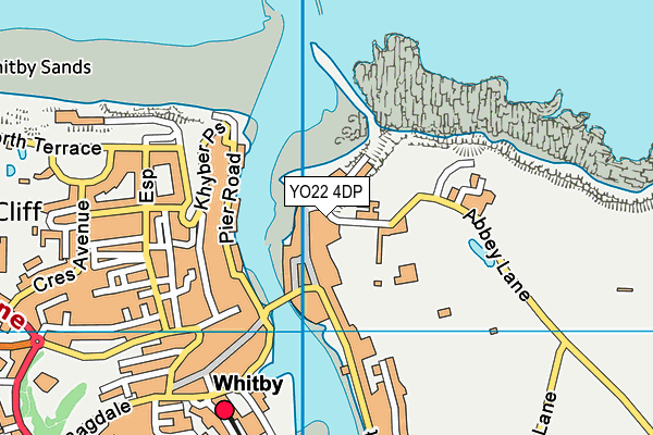 YO22 4DP map - OS VectorMap District (Ordnance Survey)