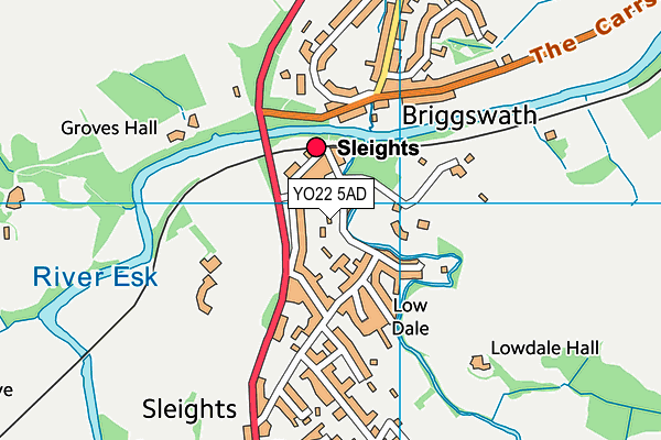 Sleights Sports Field map (YO22 5AD) - OS VectorMap District (Ordnance Survey)