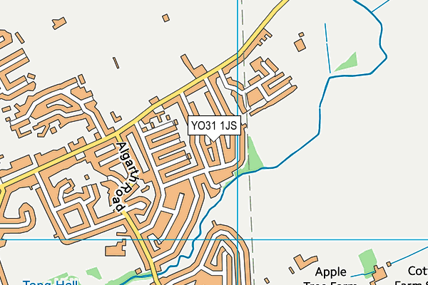 YO31 1JS map - OS VectorMap District (Ordnance Survey)