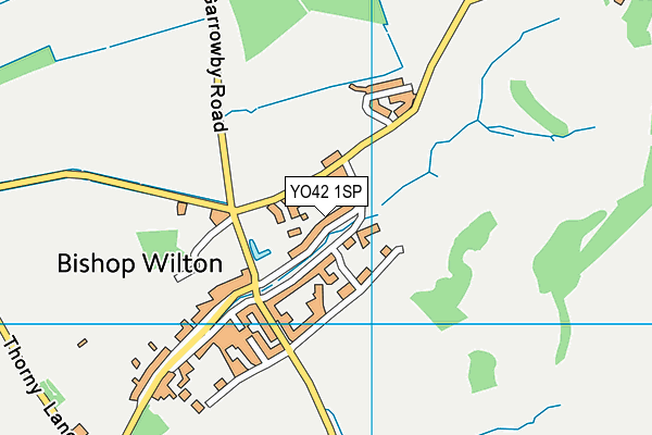 Bishop Wilton Church of England Voluntary Controlled Primary School map (YO42 1SP) - OS VectorMap District (Ordnance Survey)