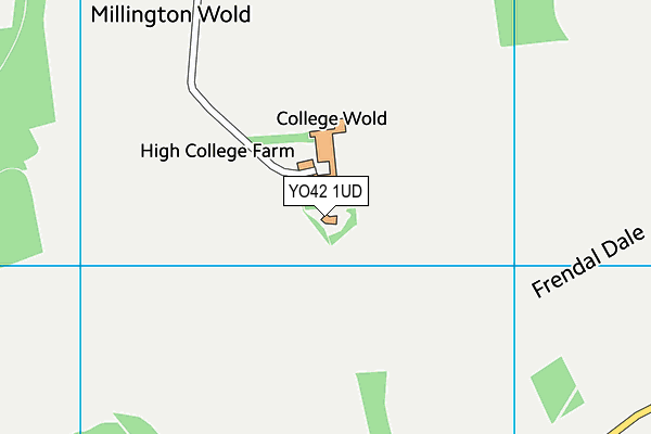YO42 1UD map - OS VectorMap District (Ordnance Survey)