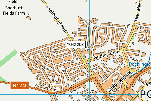 YO42 2DZ map - OS VectorMap District (Ordnance Survey)
