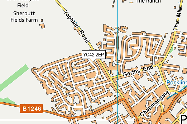 YO42 2EP map - OS VectorMap District (Ordnance Survey)