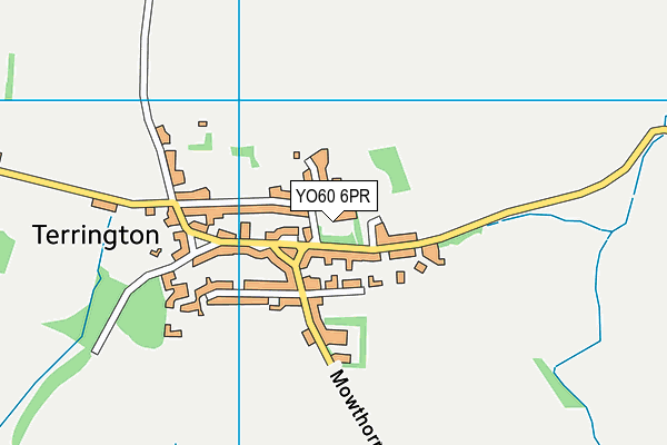 Terrington Hall Preparatory School map (YO60 6PR) - OS VectorMap District (Ordnance Survey)