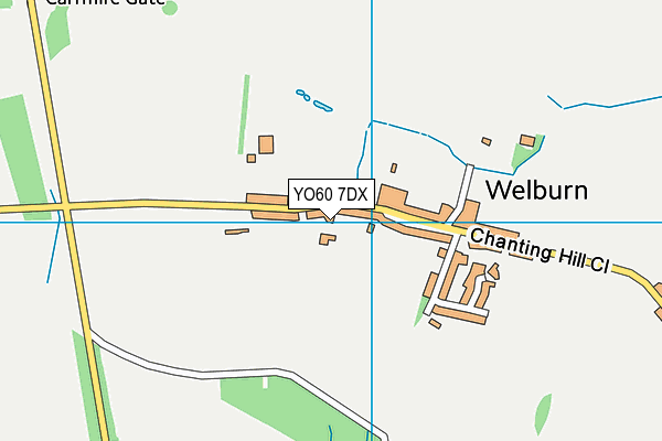Welburn Community Primary School map (YO60 7DX) - OS VectorMap District (Ordnance Survey)