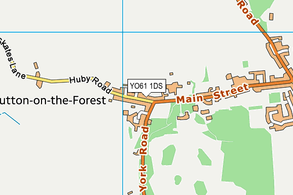 YO61 1DS map - OS VectorMap District (Ordnance Survey)