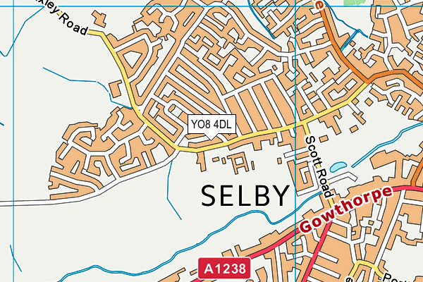 Selby Community Primary School map (YO8 4DL) - OS VectorMap District (Ordnance Survey)