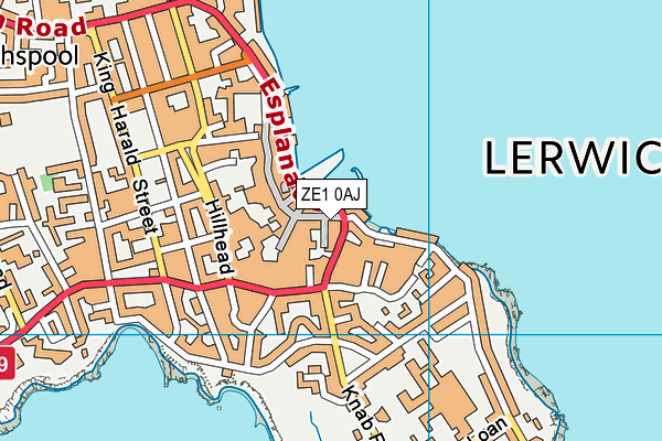 ZE1 0AJ map - OS VectorMap District (Ordnance Survey)