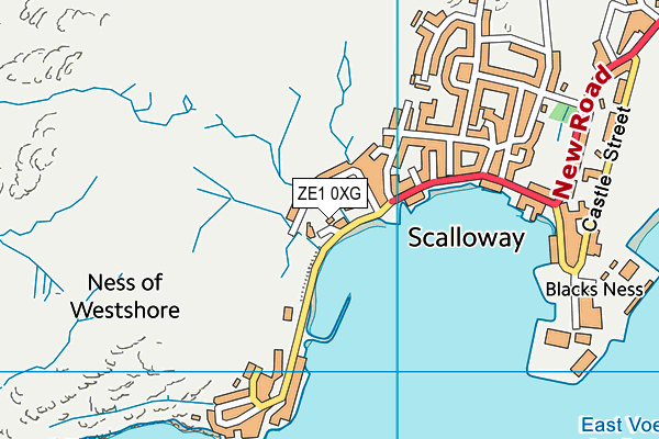 ZE1 0XG map - OS VectorMap District (Ordnance Survey)
