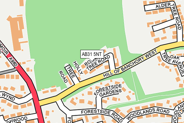 AB31 5NT map - OS OpenMap – Local (Ordnance Survey)