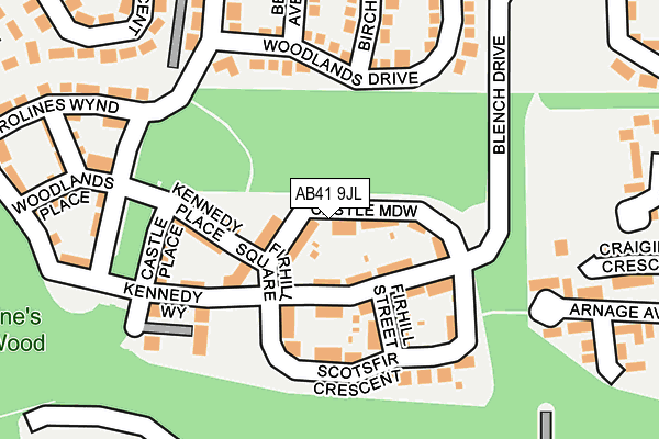 AB41 9JL map - OS OpenMap – Local (Ordnance Survey)