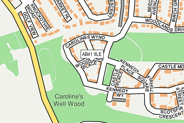 AB41 9LE map - OS OpenMap – Local (Ordnance Survey)