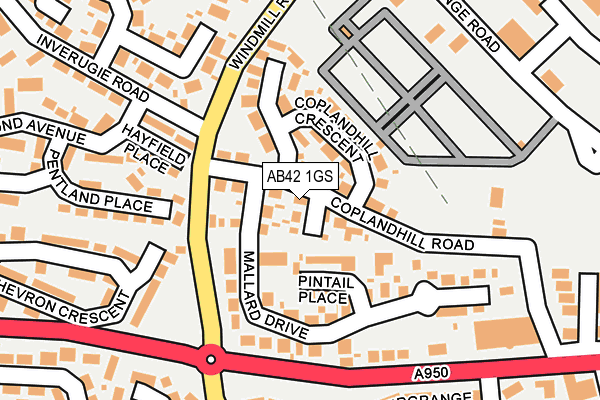 AB42 1GS map - OS OpenMap – Local (Ordnance Survey)