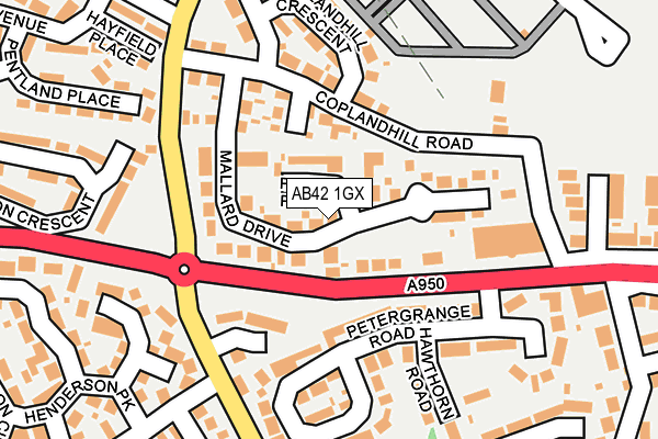 AB42 1GX map - OS OpenMap – Local (Ordnance Survey)