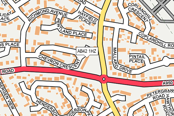 AB42 1HZ map - OS OpenMap – Local (Ordnance Survey)