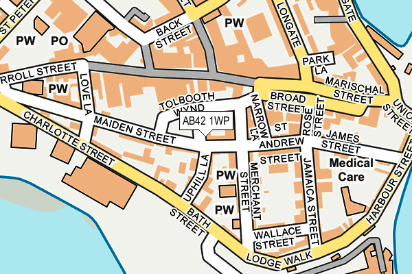 AB42 1WP map - OS OpenMap – Local (Ordnance Survey)