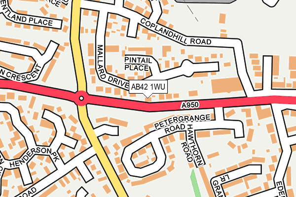 AB42 1WU map - OS OpenMap – Local (Ordnance Survey)