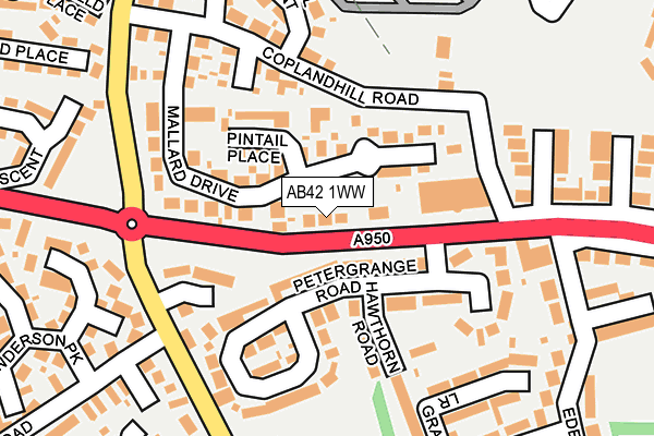 AB42 1WW map - OS OpenMap – Local (Ordnance Survey)