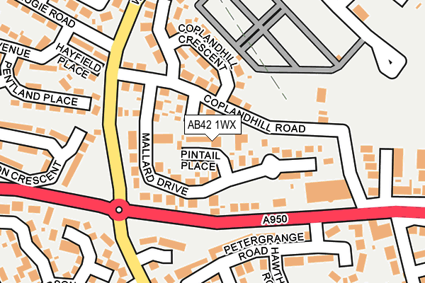 AB42 1WX map - OS OpenMap – Local (Ordnance Survey)