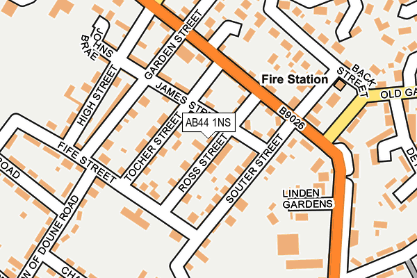 AB44 1NS map - OS OpenMap – Local (Ordnance Survey)