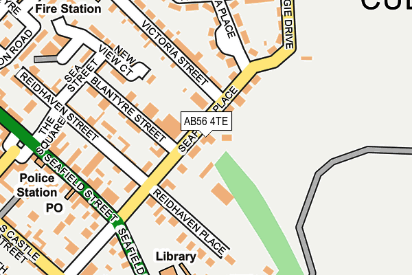 AB56 4TE map - OS OpenMap – Local (Ordnance Survey)
