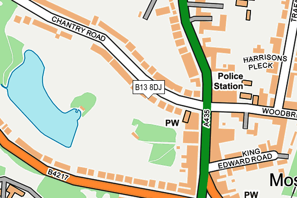B13 8DJ map - OS OpenMap – Local (Ordnance Survey)