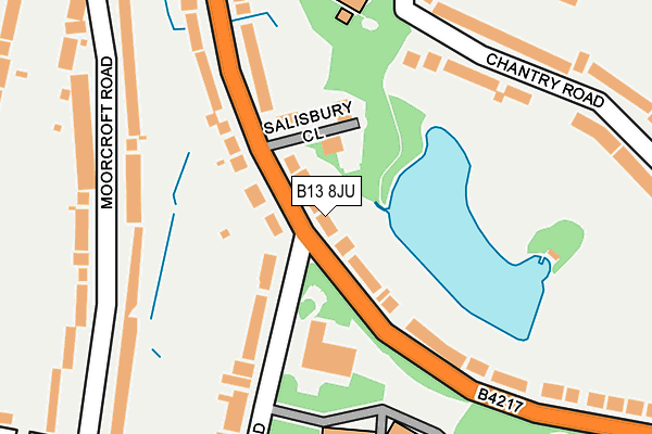 B13 8JU map - OS OpenMap – Local (Ordnance Survey)