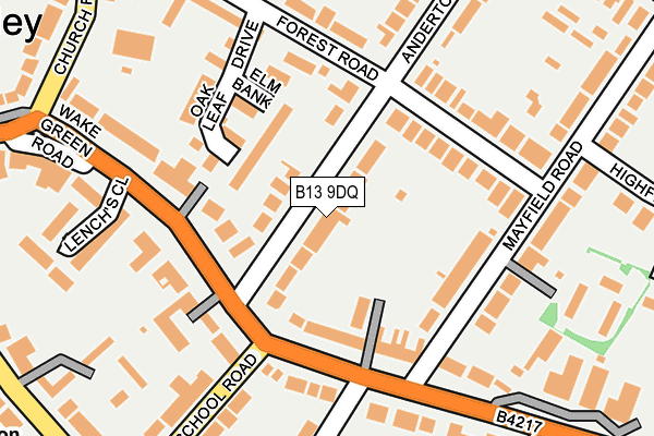 B13 9DQ map - OS OpenMap – Local (Ordnance Survey)