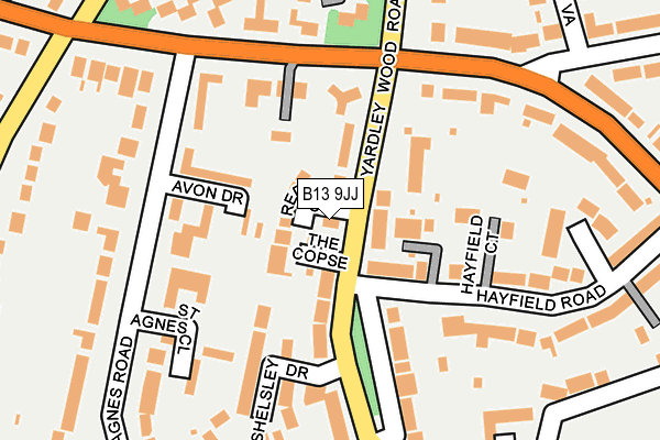 B13 9JJ map - OS OpenMap – Local (Ordnance Survey)