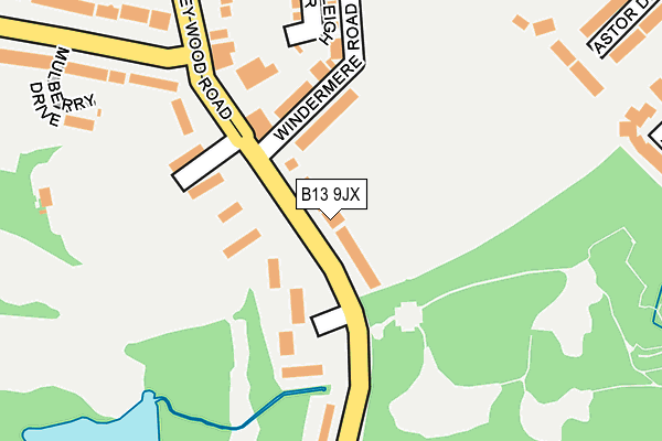B13 9JX map - OS OpenMap – Local (Ordnance Survey)