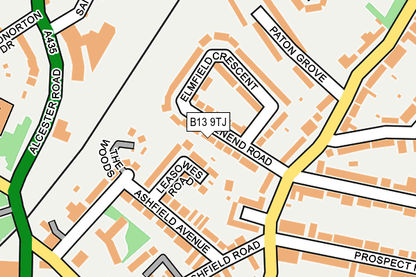 B13 9TJ map - OS OpenMap – Local (Ordnance Survey)