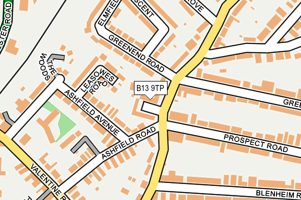 B13 9TP map - OS OpenMap – Local (Ordnance Survey)