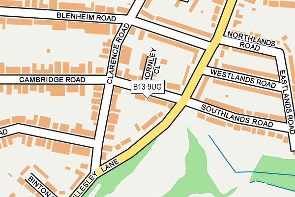 B13 9UG map - OS OpenMap – Local (Ordnance Survey)