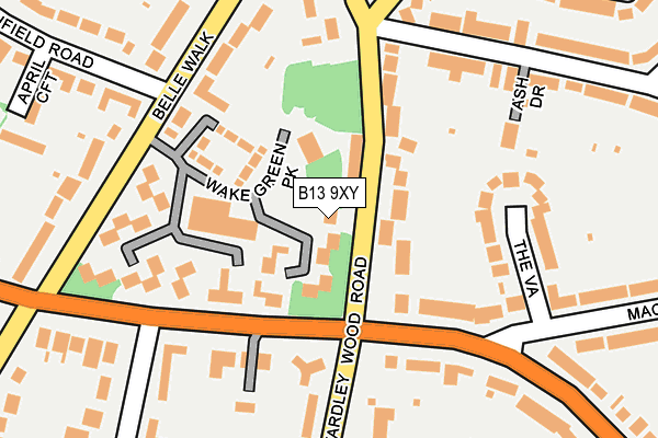 B13 9XY map - OS OpenMap – Local (Ordnance Survey)