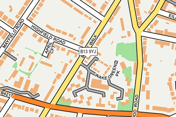 B13 9YJ map - OS OpenMap – Local (Ordnance Survey)