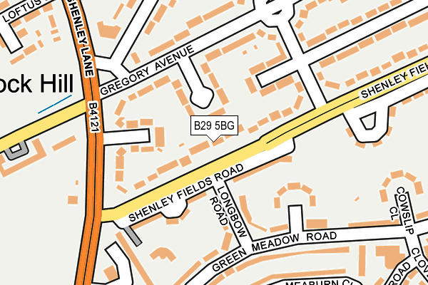 B29 5BG map - OS OpenMap – Local (Ordnance Survey)