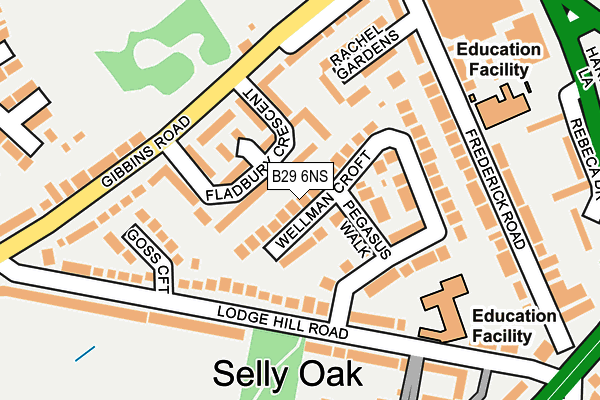 B29 6NS map - OS OpenMap – Local (Ordnance Survey)