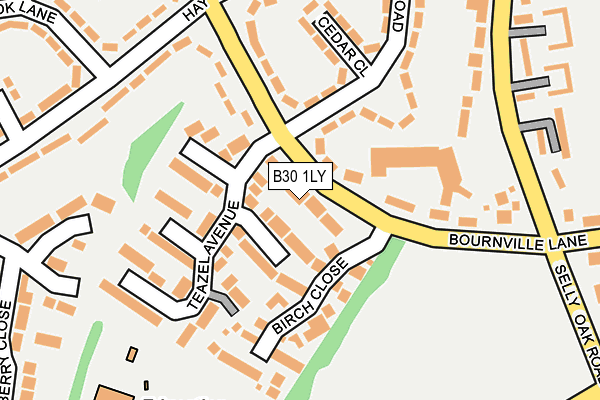 B30 1LY map - OS OpenMap – Local (Ordnance Survey)