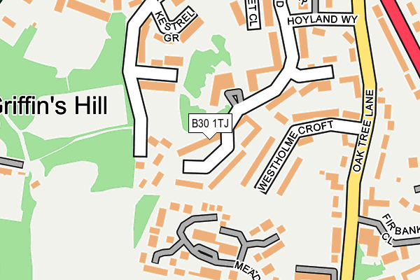 B30 1TJ map - OS OpenMap – Local (Ordnance Survey)