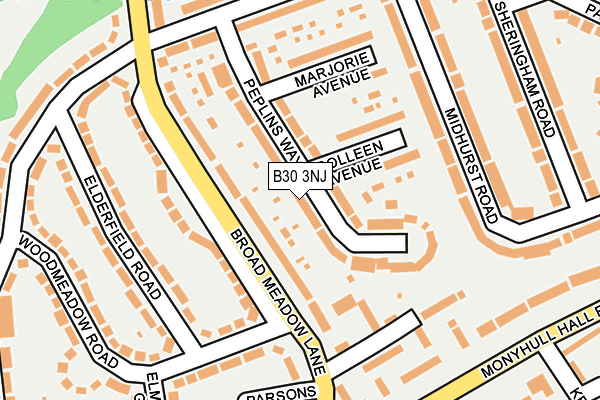 B30 3NJ map - OS OpenMap – Local (Ordnance Survey)
