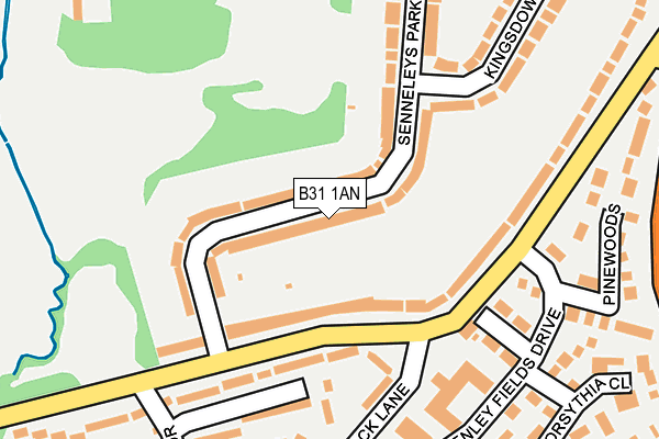 B31 1AN map - OS OpenMap – Local (Ordnance Survey)