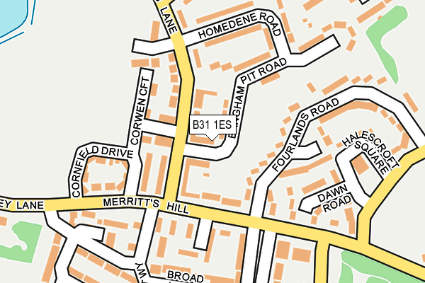 B31 1ES map - OS OpenMap – Local (Ordnance Survey)