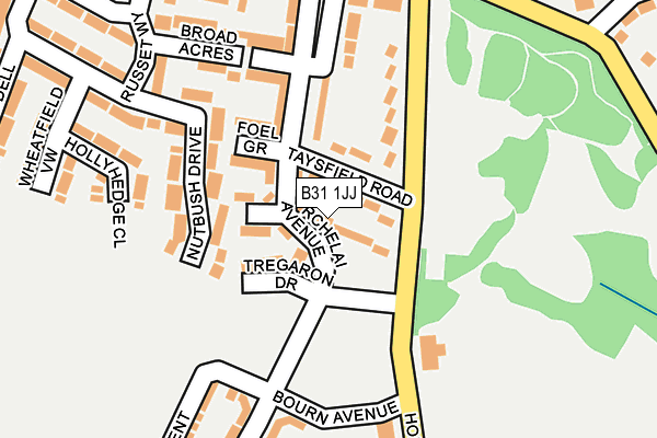 B31 1JJ map - OS OpenMap – Local (Ordnance Survey)